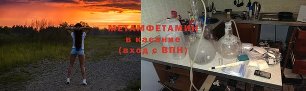 прущие грибы Болхов
