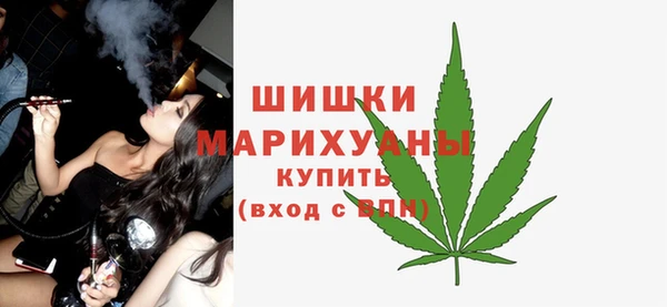 дживик Болохово
