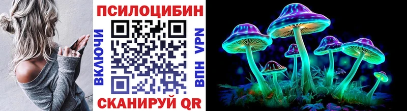 Галлюциногенные грибы Magic Shrooms закладка Бугульма